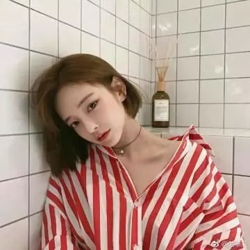 盲兽
